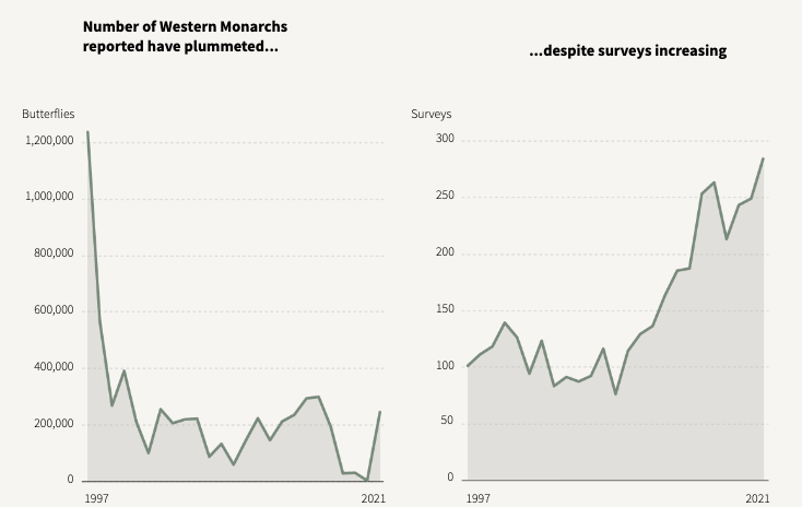 The Collapse of Insects - Image 6