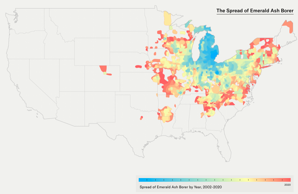 The Great Tree Migration