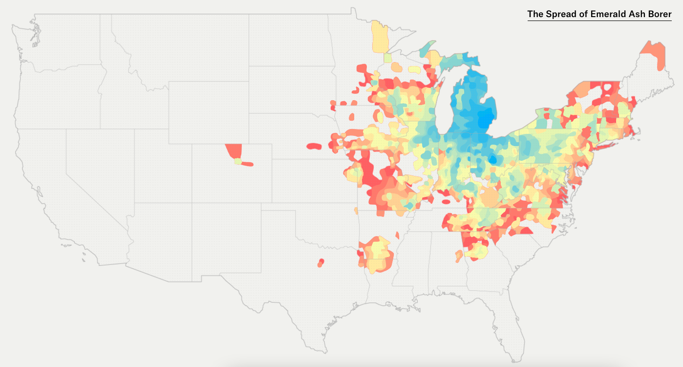 The Great Tree Migration - Image 2