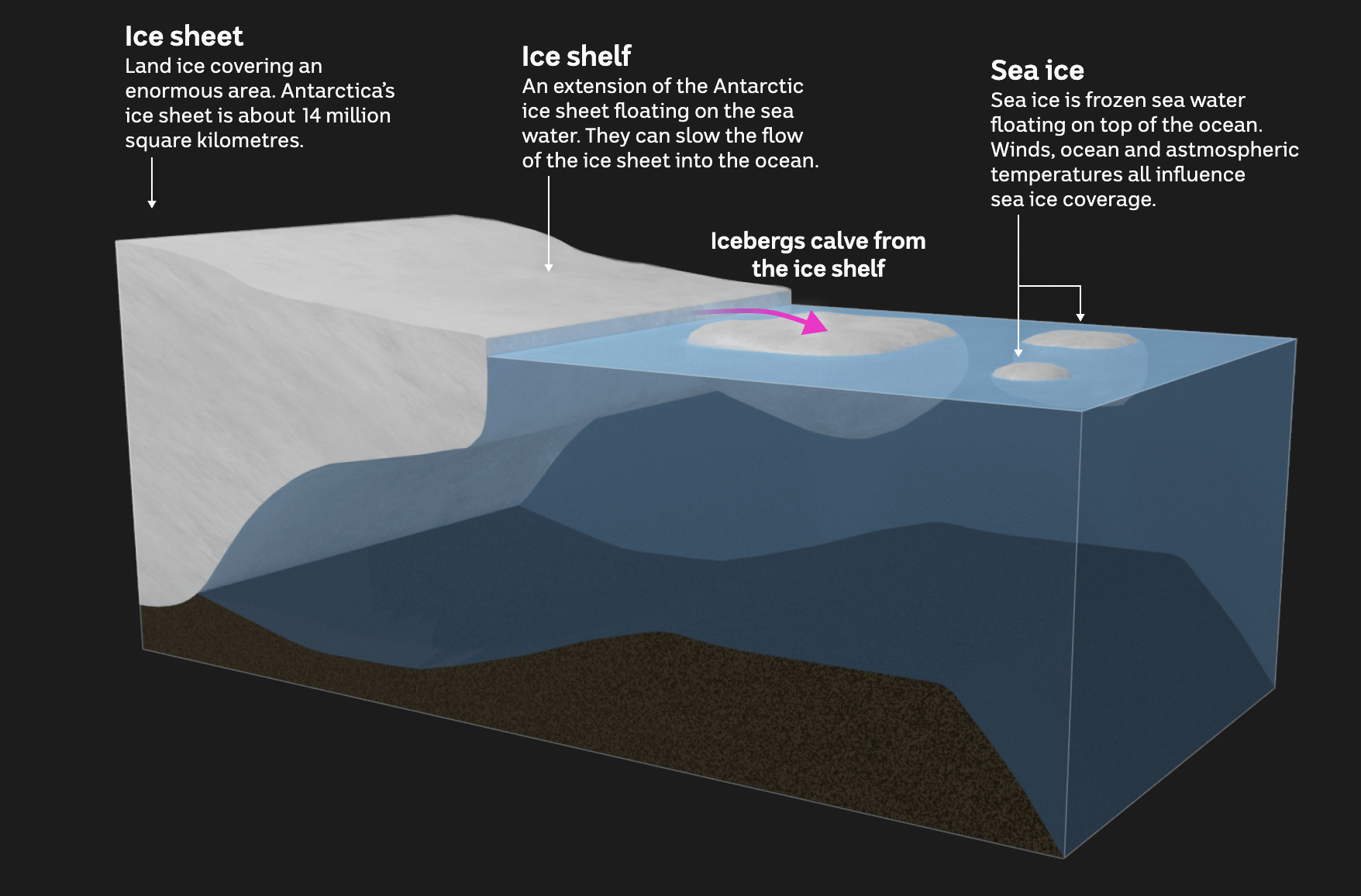 The Icy Pulse, Abc News