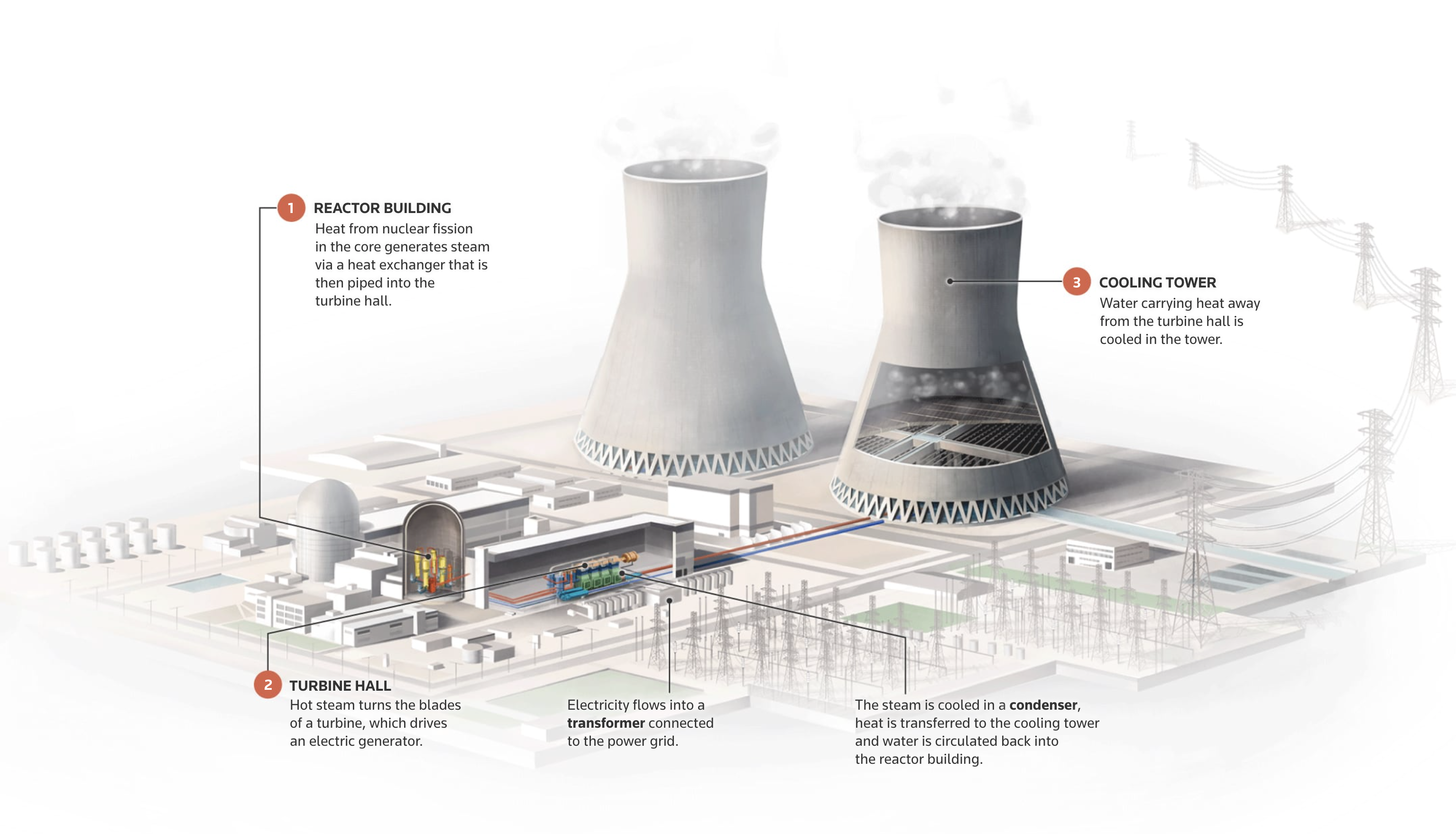 The Nuclear Aged - Image 5