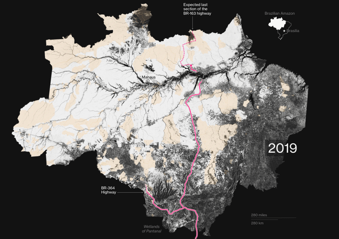 Time is Running Out to Save the Last of the World’s Rainforest