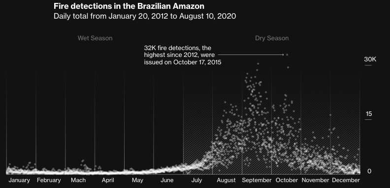 Time is Running Out to Save the Last of the World’s Rainforest - Image 3