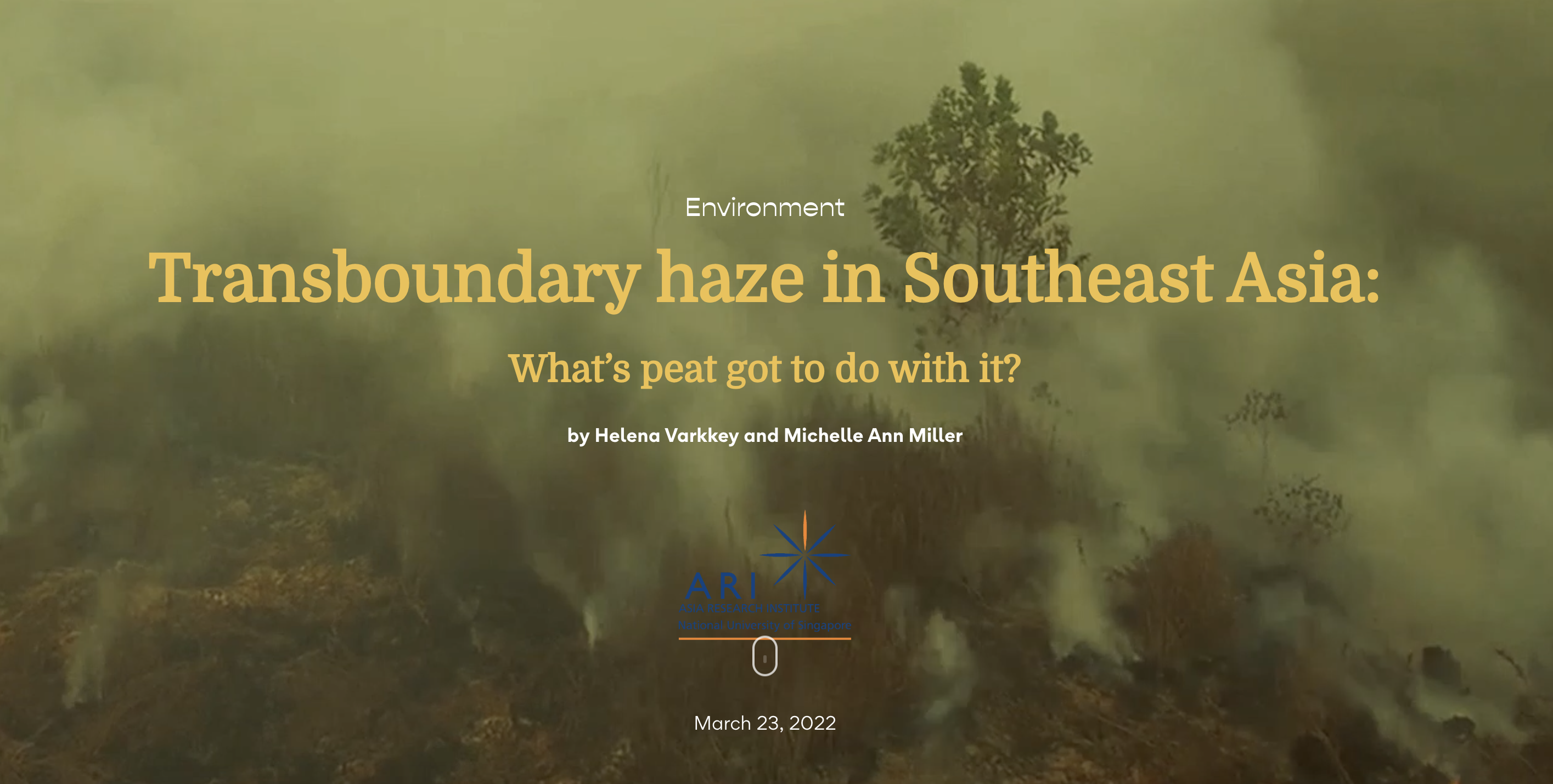 Transboundary Haze in Southeast Asia - Image 3