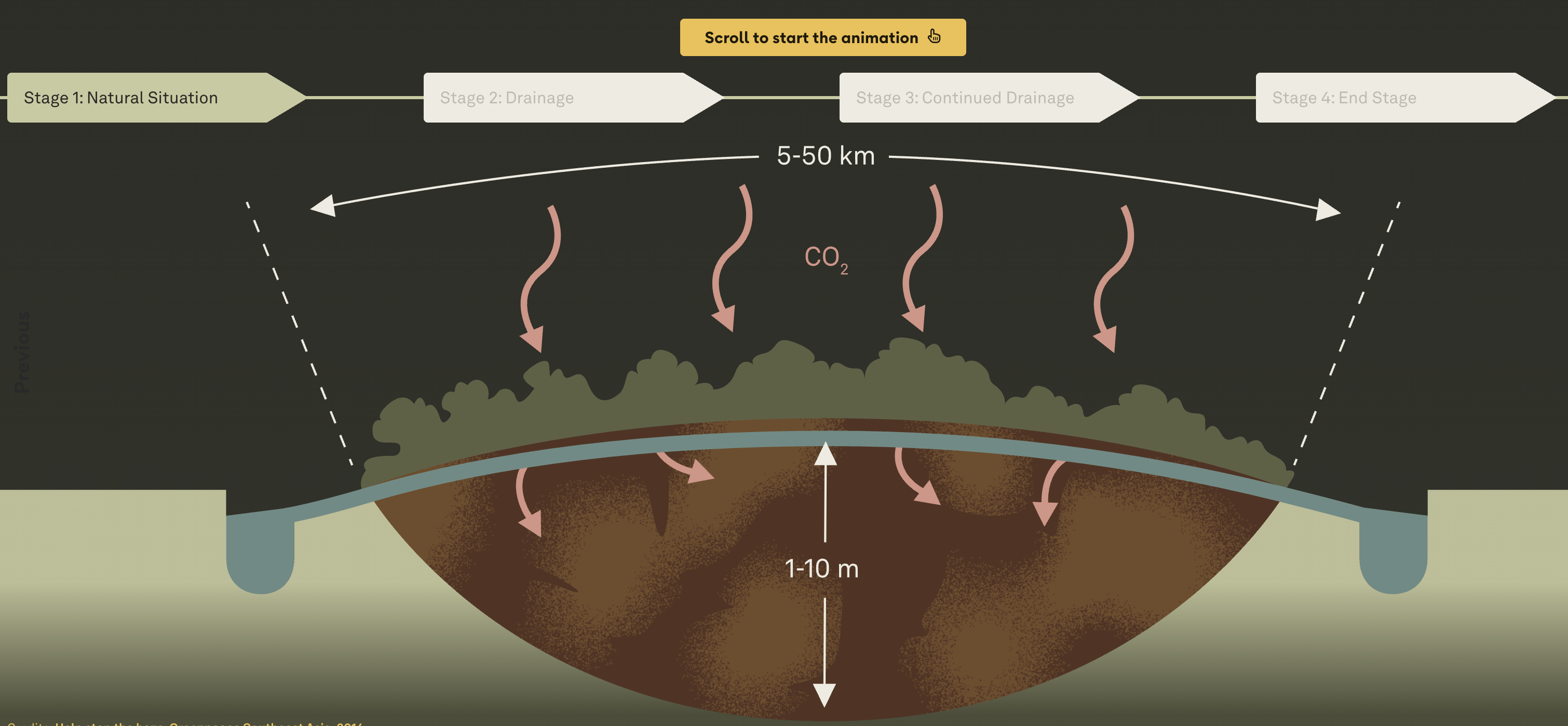 Transboundary Haze in Southeast Asia - Image 4