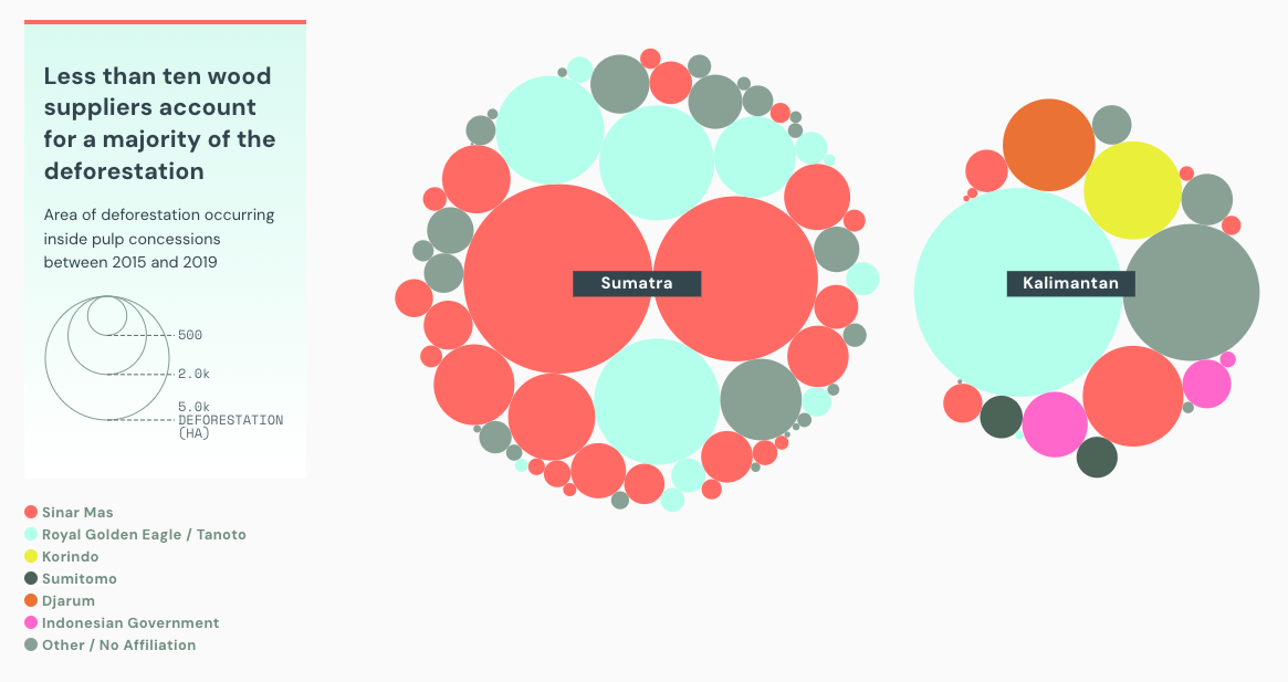 Trase Insights + Yearbook - Image 12