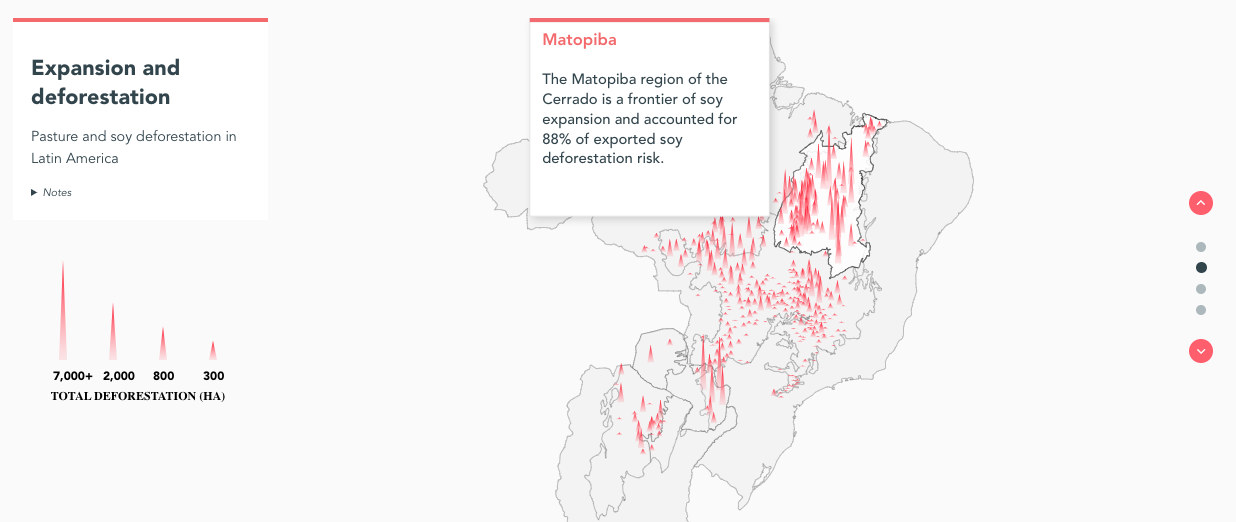 Trase Insights + Yearbook - Image 15