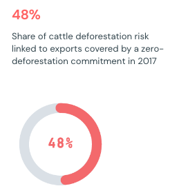 Trase Insights + Yearbook - Image 22