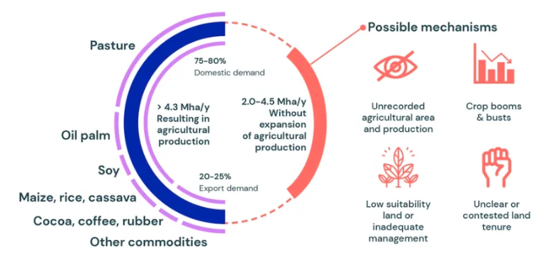 Trase Insights + Yearbook - Image 25