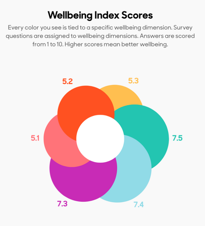 Wellbeing Index - Image 6