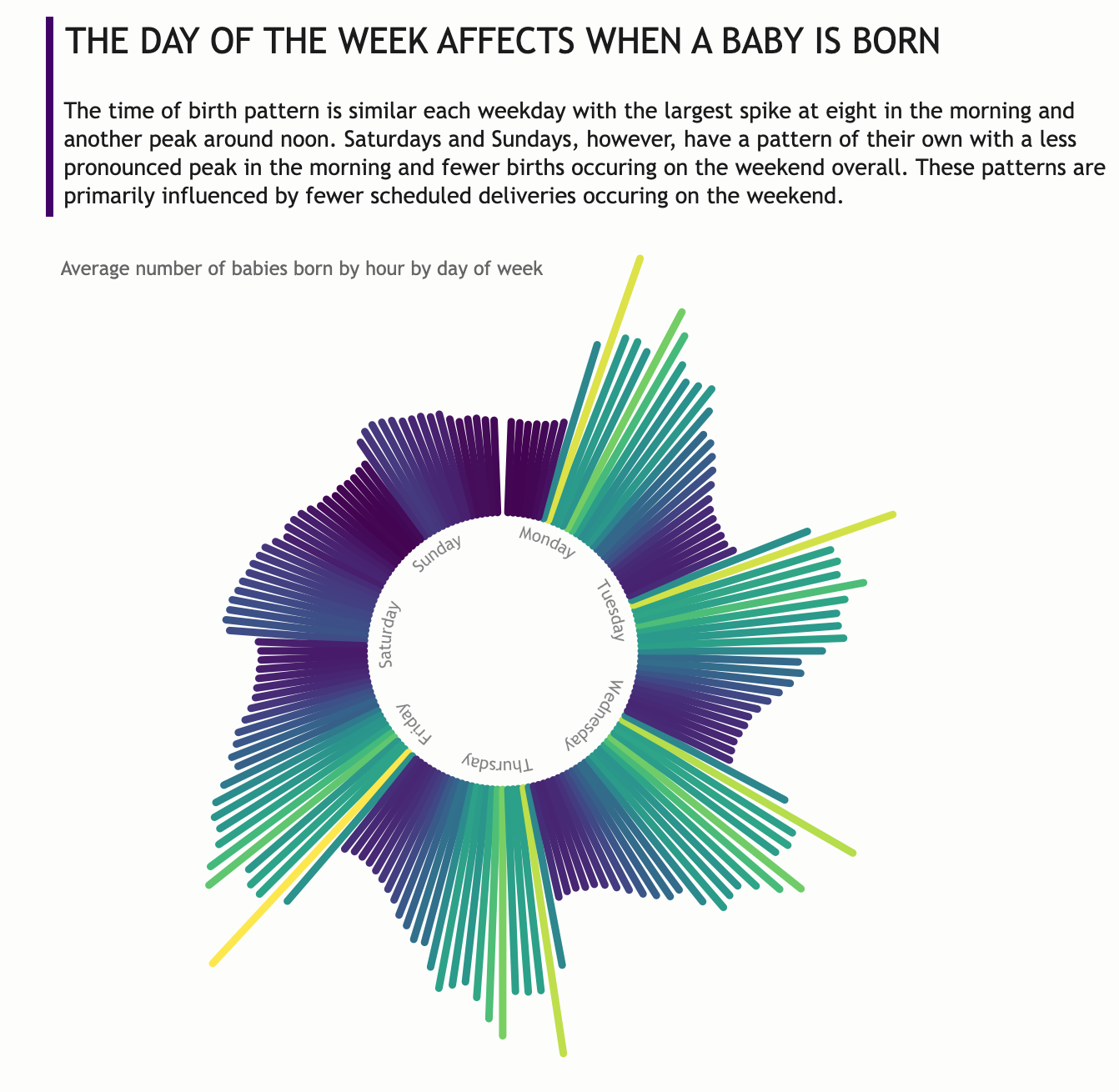 What Time Are Babies Born - Image 2