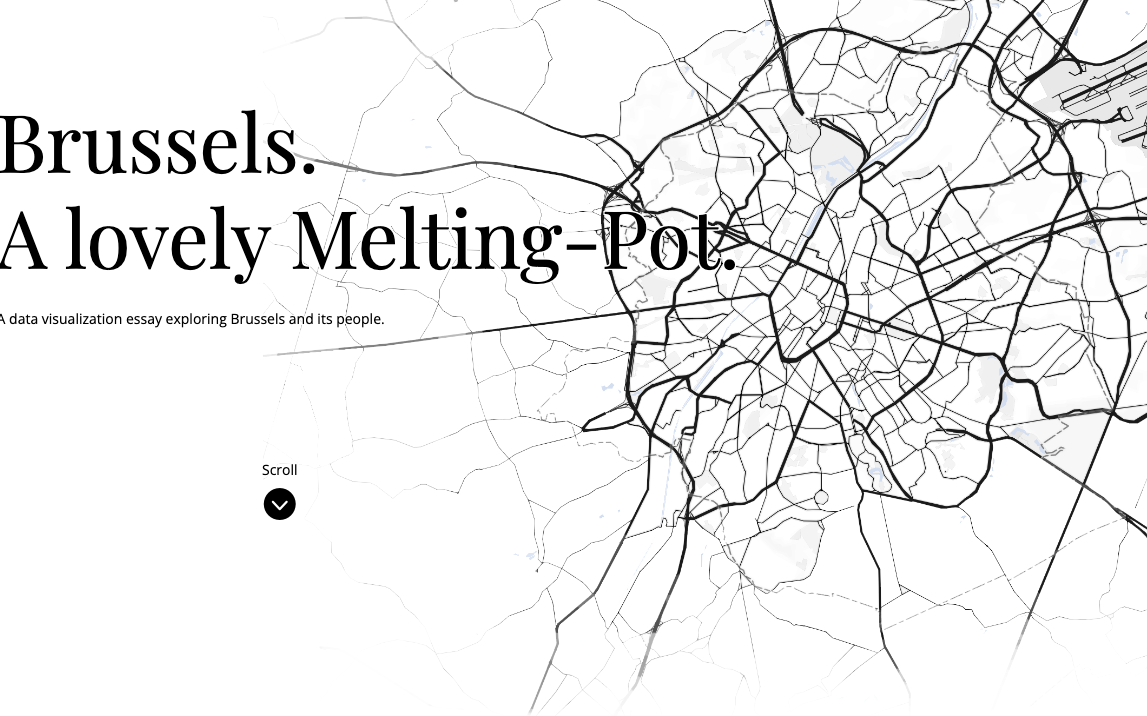 Where Do the Foreigners Living in Brussels Come from?