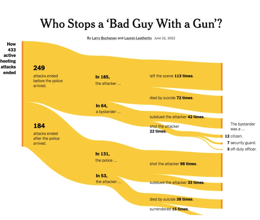 WHO Stops a ‘Bad Guy with a Gun’? - Image 3