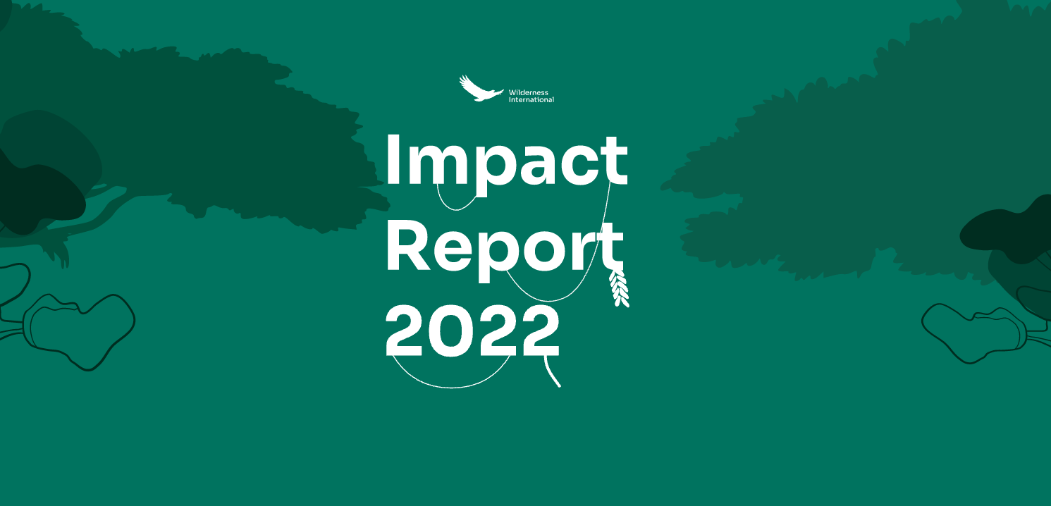 Wilderness International Report 2022