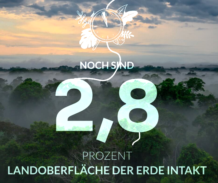 Wilderness International Report 2022 - Image 3