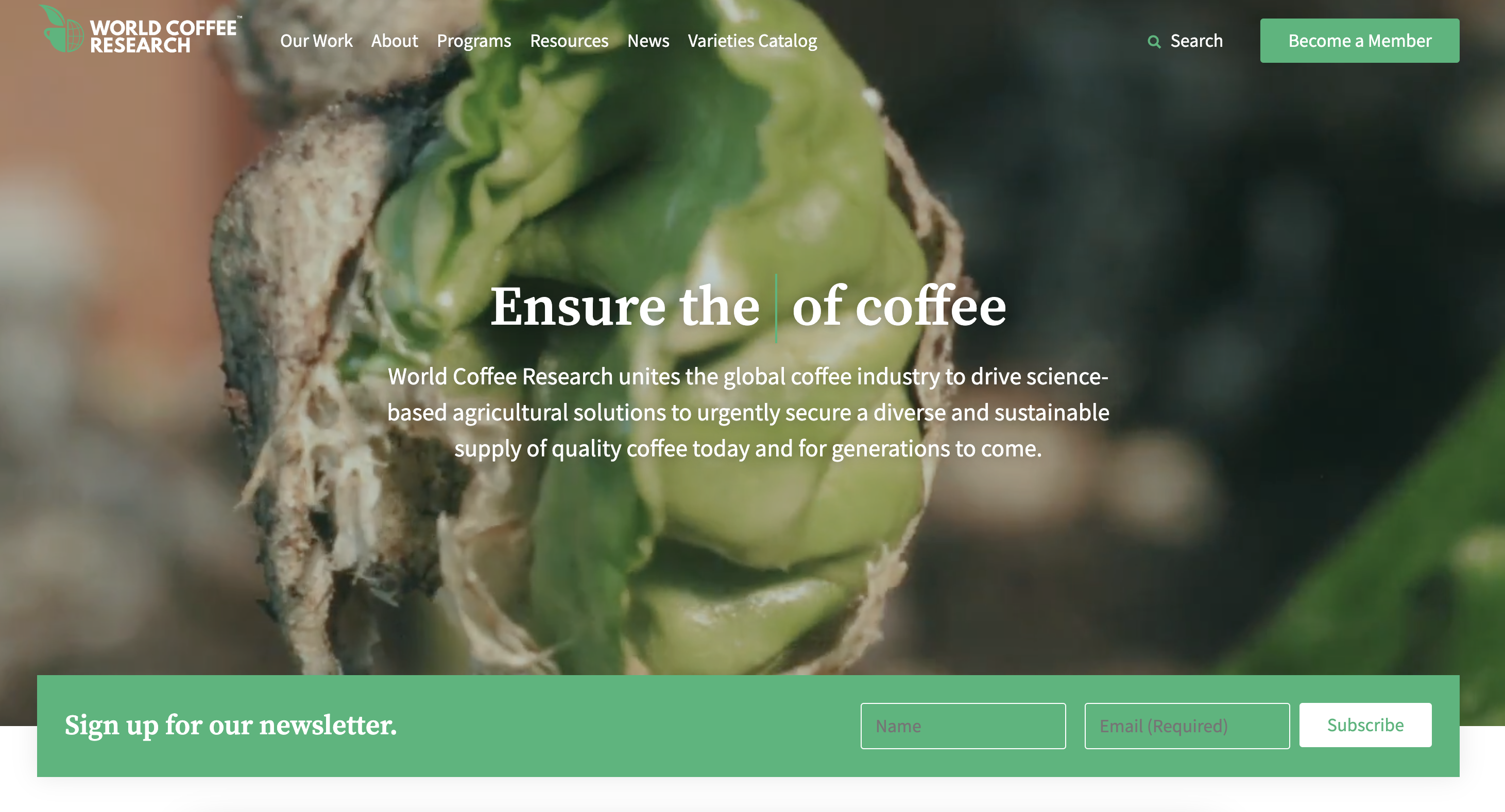 World Coffee Research