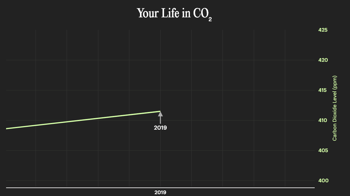 Your Personal Carbon History - Image 2