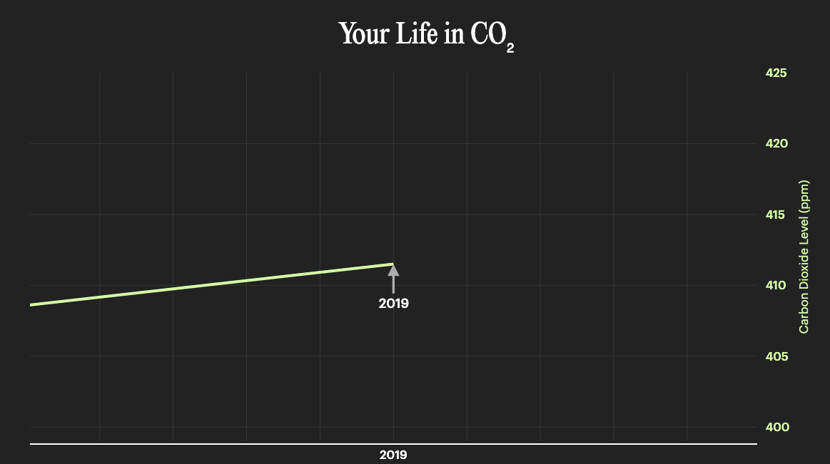 Your Personal Carbon History - Image 3